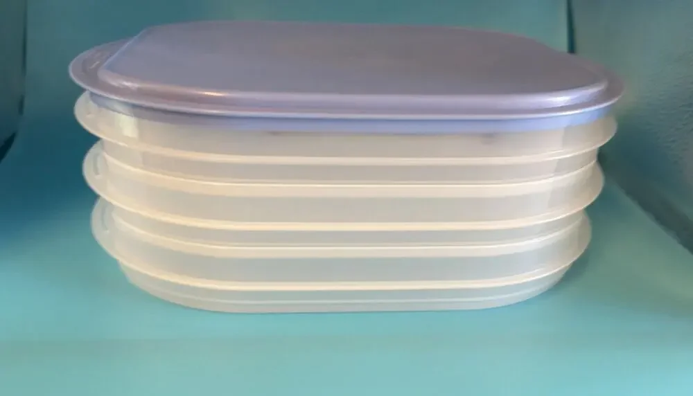 Tupperware 4-Piece Rectangular Plastic Containers Snap Lids White/Blue